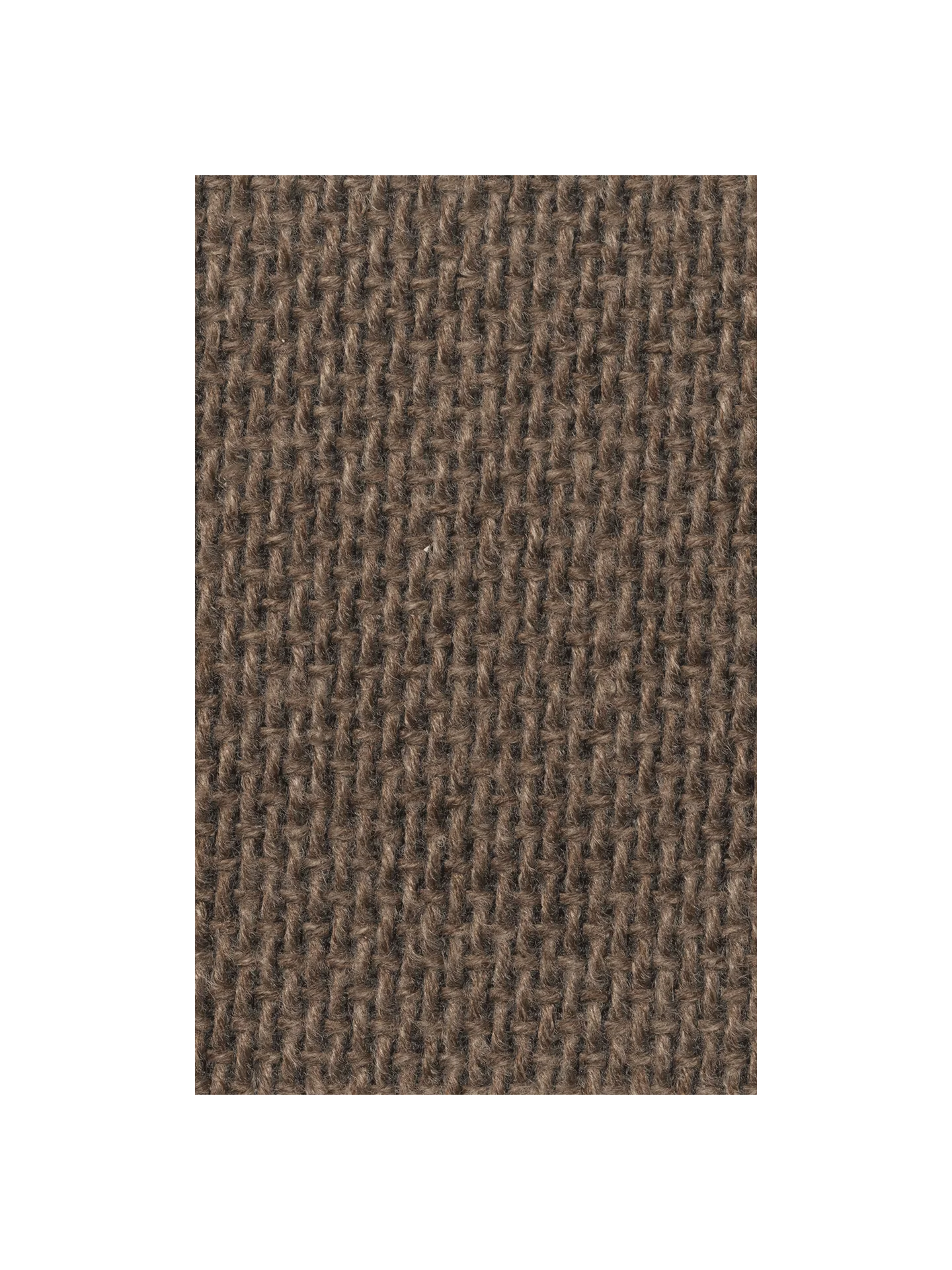 Fabric Sample - Autumn - Dark Sand